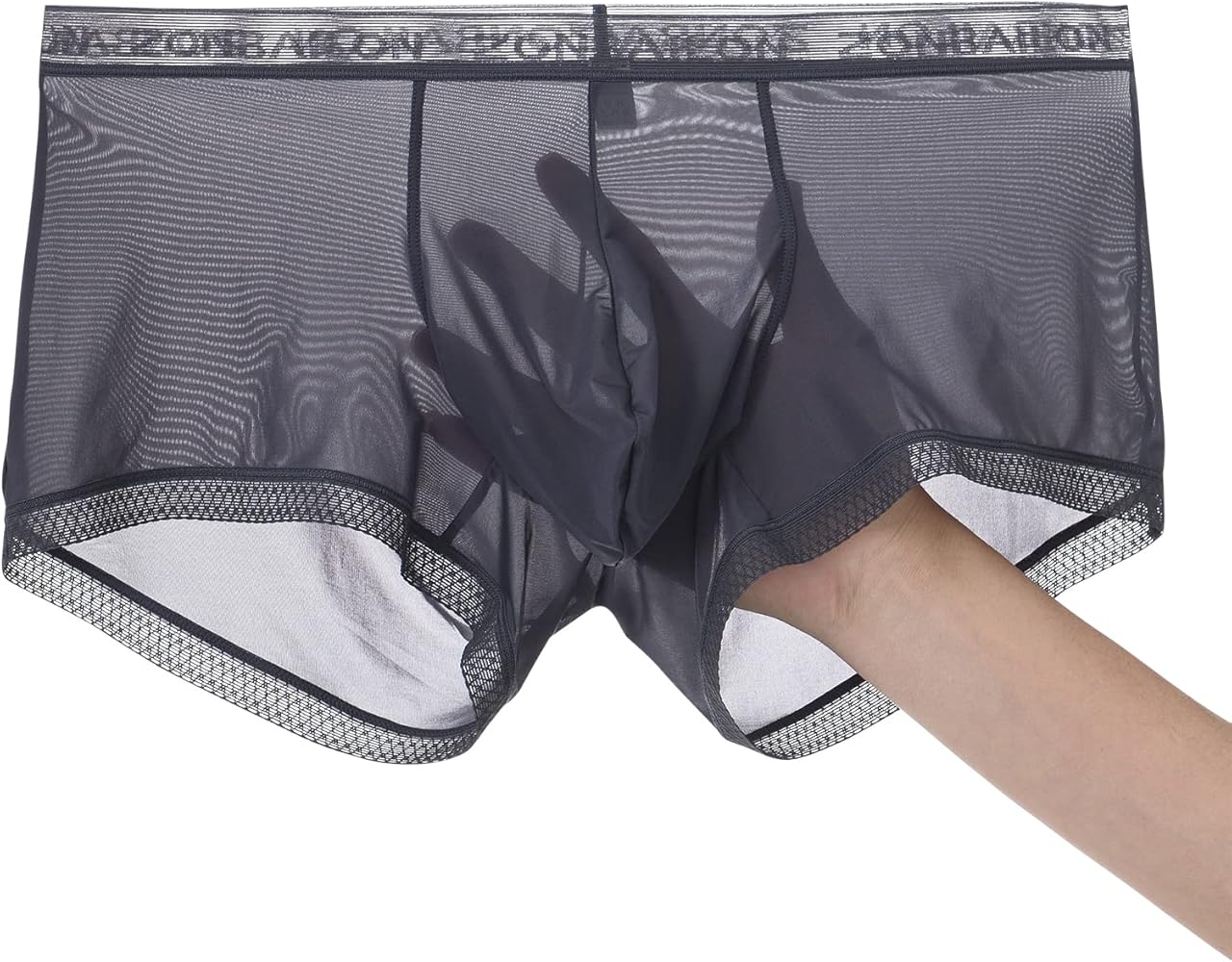 Mens Ice Silk Boxers Sexy See Through Seamless Trunk Underwear Super Thin Bulge Pouch Boxer Briefs