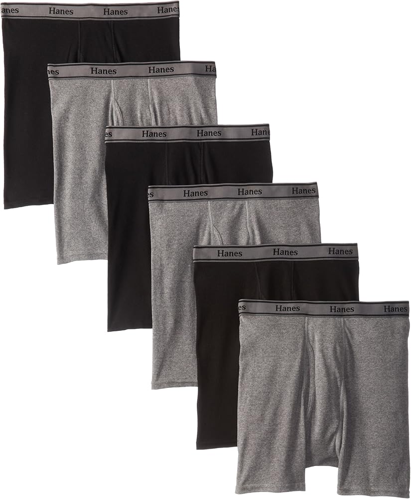 Hanes Mens 6-Pack Freshiq Blue Label Boxer With Comfortflex Waistband Brief