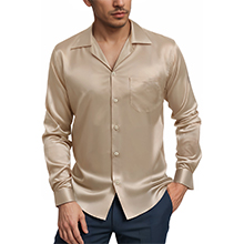 Mens Casual Button Down Long Sleeve Shirt