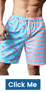 Mens Flamingo Swim Trunks