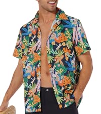 men Hawaii shirt