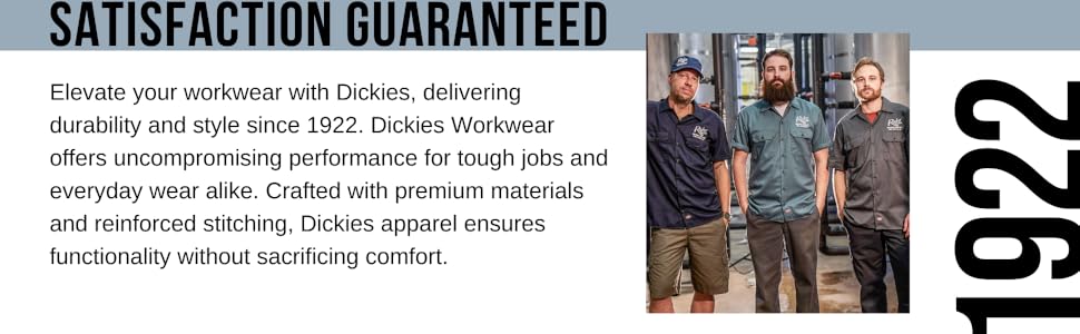 Dickies Workwear 2