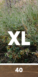 xl