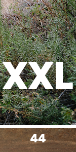 xxl