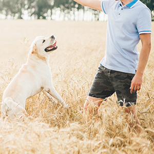 The man is playing with the puppy. cargo shorts for men men''s shorts men shorts mens cargo shorts