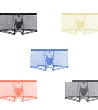 Mens Ice Silk Sexy Underwear