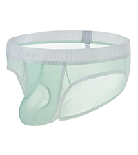 Mens Separate Pouch Briefs See Through Underwear