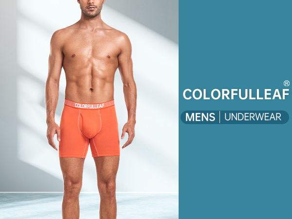 mens boxer briefs