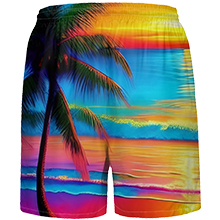 Swim Shorts Quick Dry Shorts