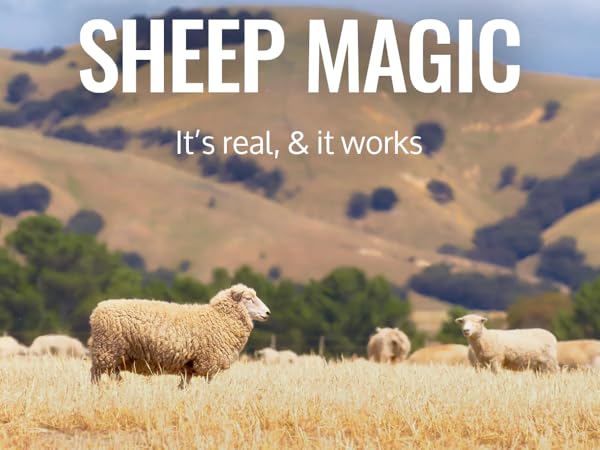 Sheep Magic Sheep Magic It''s Real and it Works