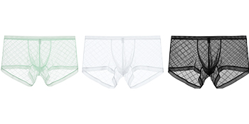 Mens Mesh Lace See-Through Boxer Brief