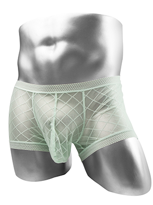 Mens Mesh Lace See-Through Boxer Brief