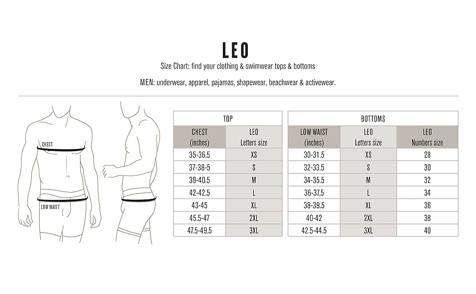 LEO UPDATE