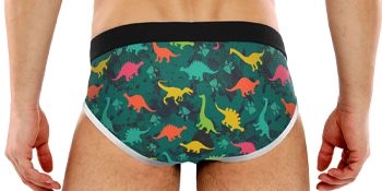 Men''s dinosaur underwear briefs