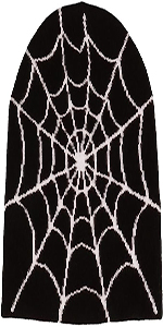 Beanie Spider Web