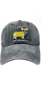 Incorgnito Corgi