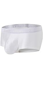 Men''s Bulge Pouch Silk Underwear