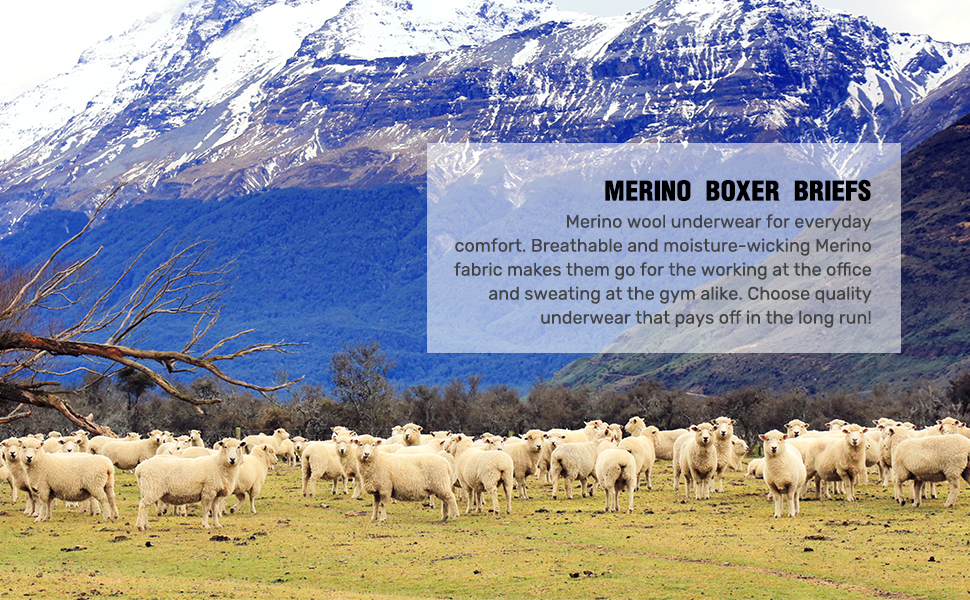 merino wool underwear for men