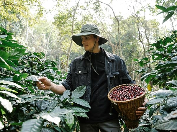 gardening hats