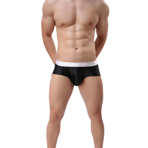 ZONBAILON Mens Low Rise Sexy Short Leg Boxer Men Bulge Enhancing Pouch Ice Silk Underwear for Male