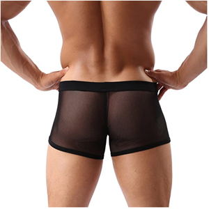 mens sexy man underwear sexy mesh underwear men