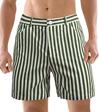 Men''s 6 Inch Striped Shorts