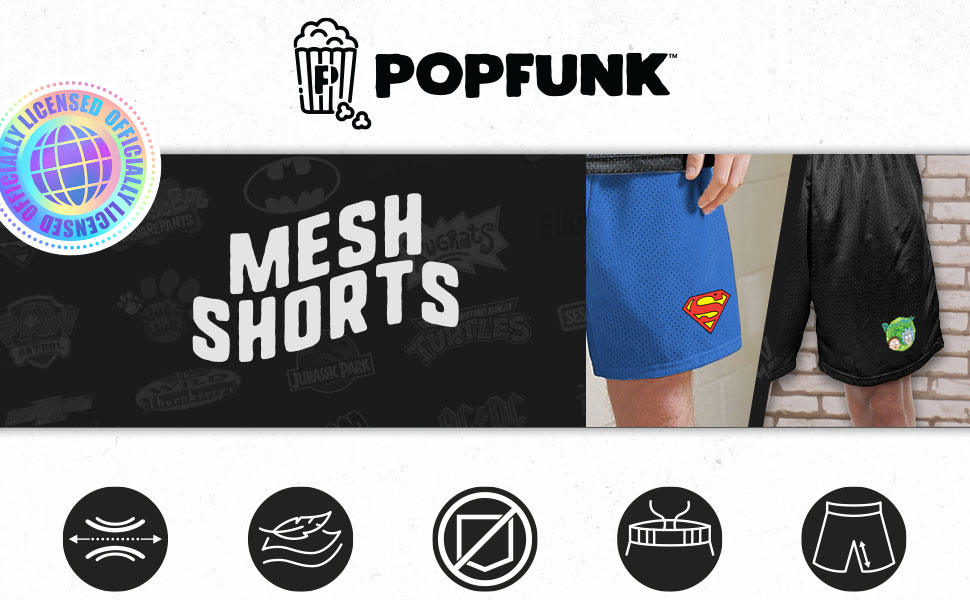 Popfunk Pop Culture Mesh Shorts Athletic Basketball