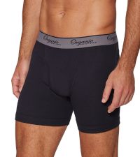 mens organic cotton underwear