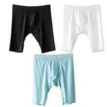 5 points ice silk underwear short pants