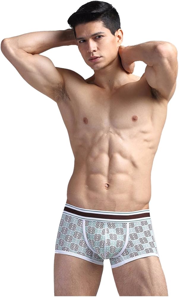 Men Underwear Cotton Men Cueca Boxers Shorts Men Underpants stpj07