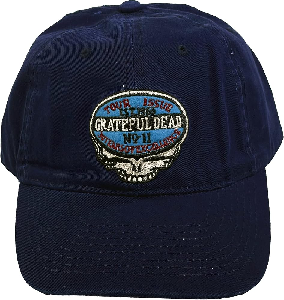 Grateful Dead Men's Standard Liquid Blue Baseball Hat