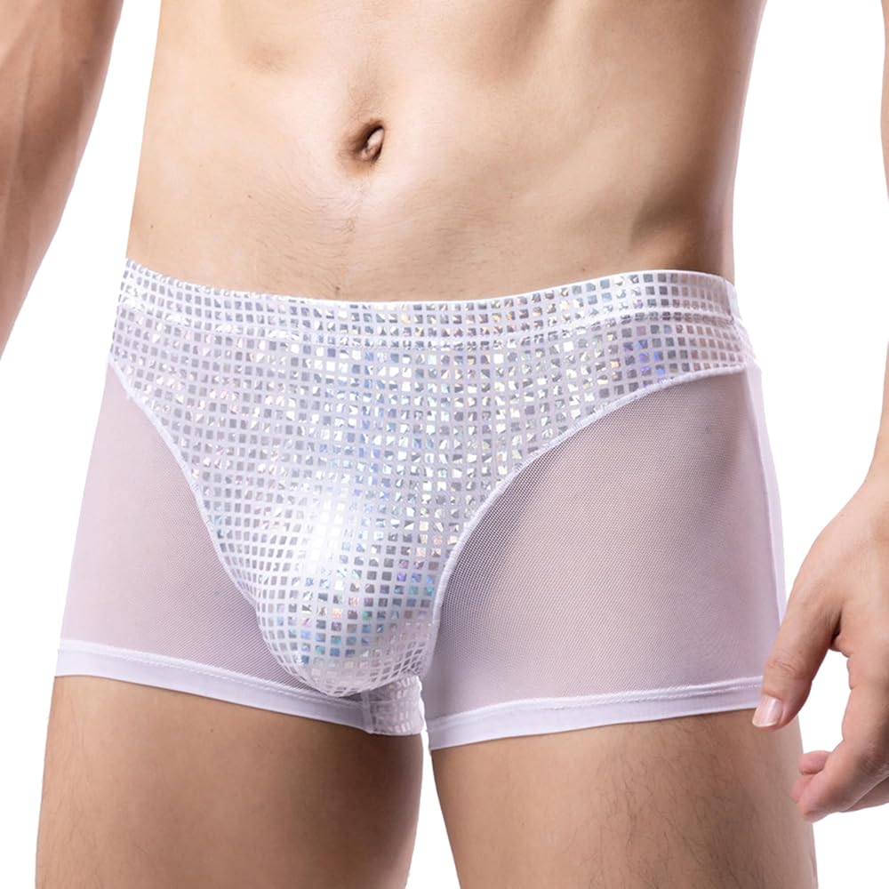 Evankin Mens Sexy Boxer Briefs Glitter Lingerie See Through Mesh Underwear Breathable Boxers Panties with Bulge Pouch