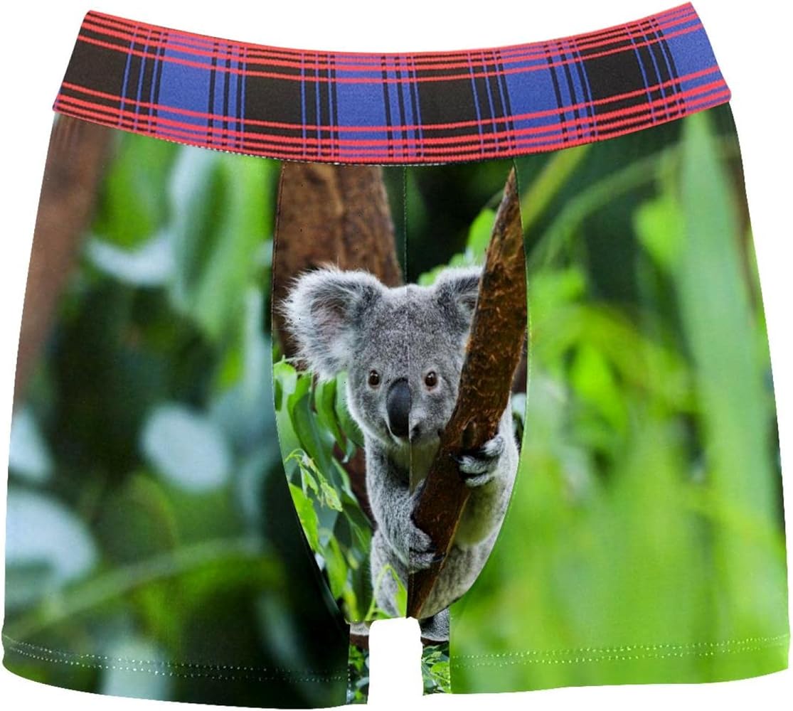 Boxer Briefs Cute Koala Men Underwear Short Leg Polyester Spandex