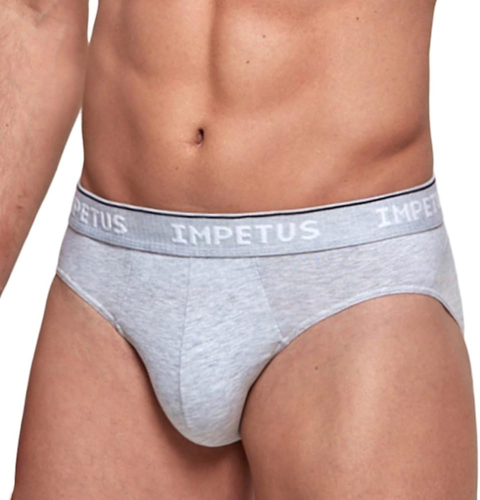 IMPETUS Certified Organic Cotton Brief Underwear