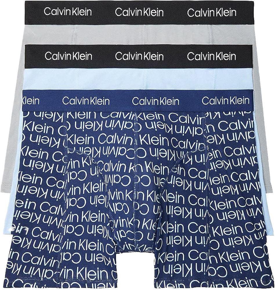 Calvin Klein Men's Steel Micro Hip Briefs