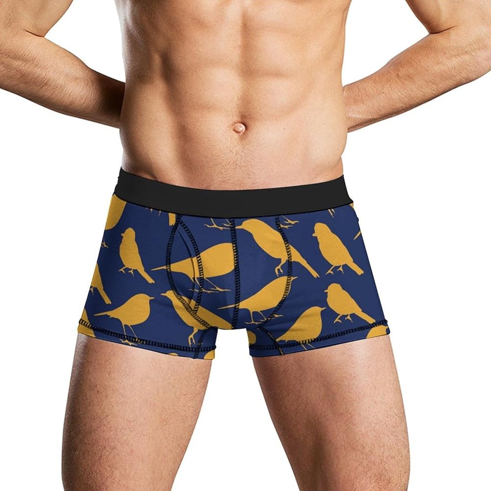 Raven Birds Men's Boxer Briefs Soft Lightweight Underwear Stretch Trunks