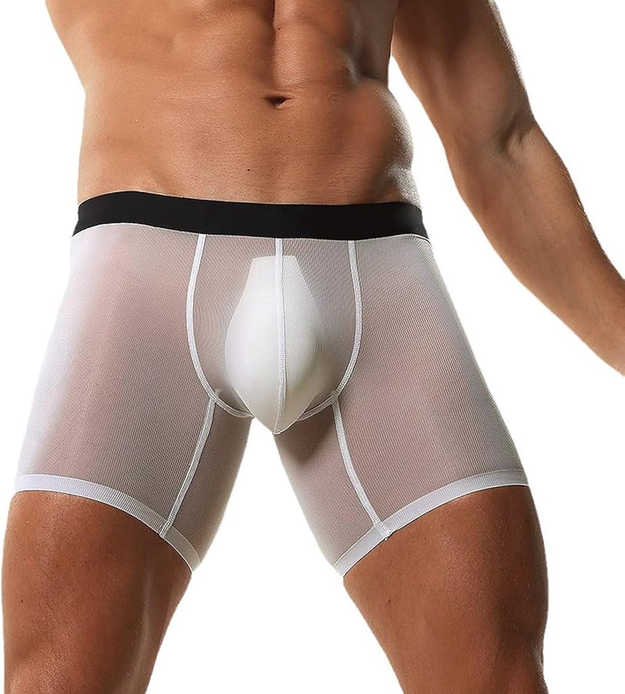 Moily Men's Sexy Mesh Underwear See Through Sheer Breathable Boxer Shorts with Pouch