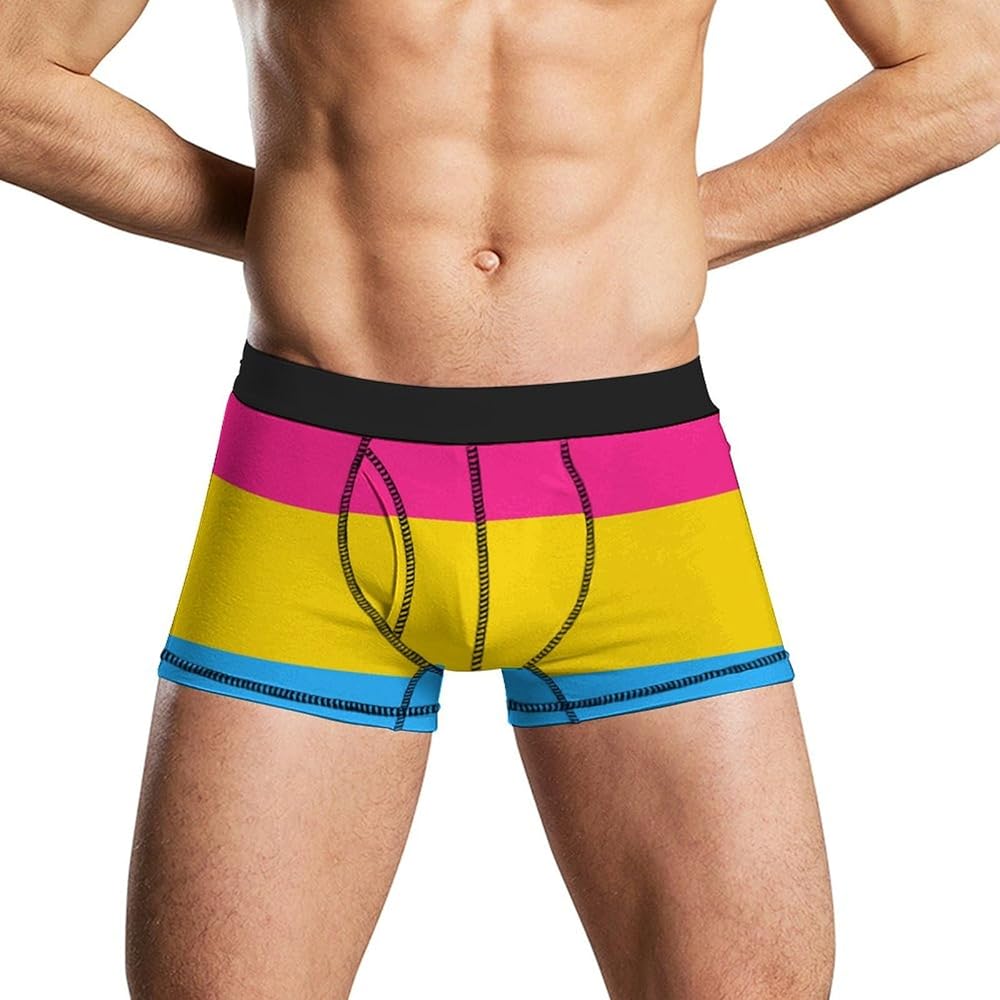 Pansexual Pride Flag Men's Boxer Briefs Soft Lightweight Underwear Stretch Trunks