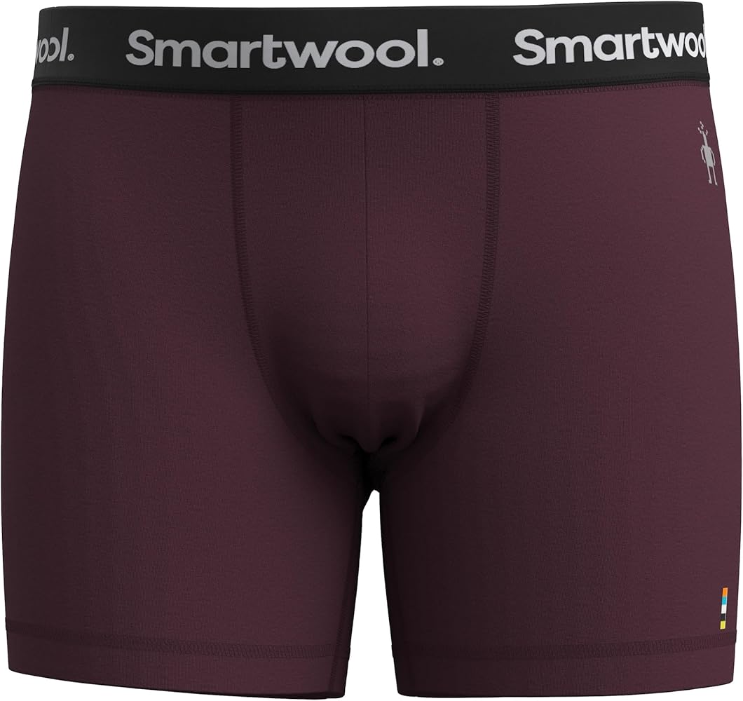 Smartwool Men's Everyday Merino Wool Boxer Brief Boxed (Slim Fit)