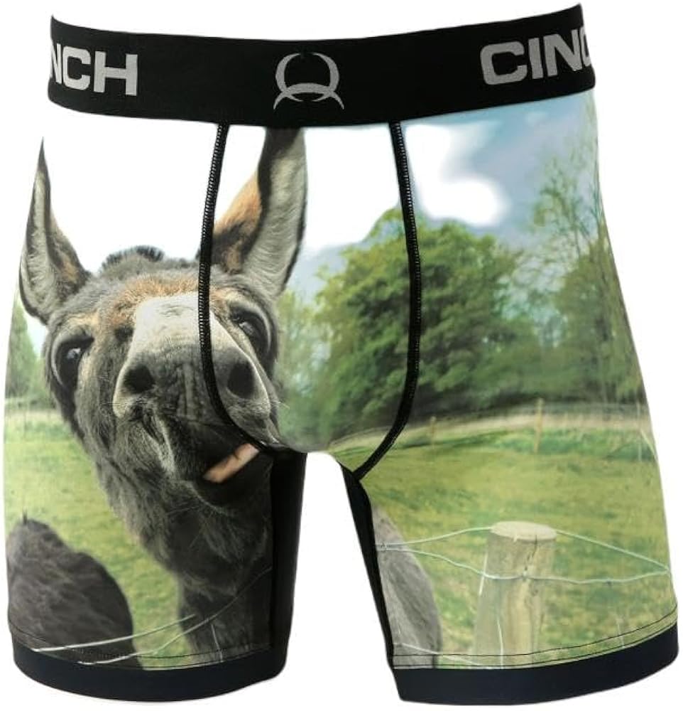 Cinch Men's 6" Donkey Boxer Briefs Multi XL