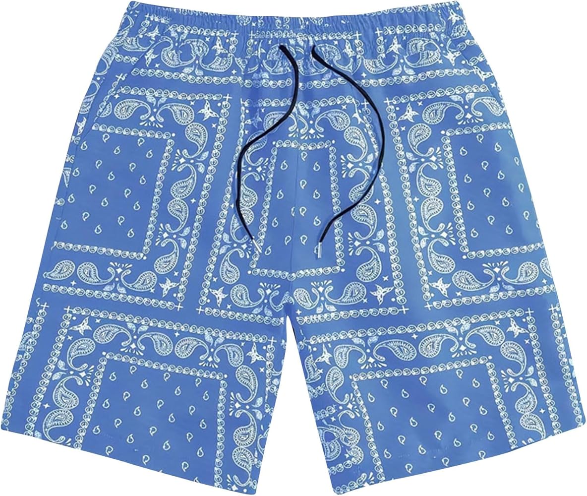 Mens Paisley Shorts Drawstring Elastic Waist Summer Holiday Beach Shorts Boho Tribal Print Casual Shorts with Pockets