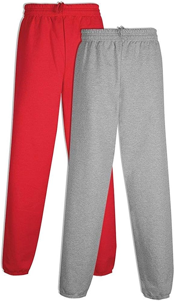 Hanes mens Ecosmart 2-Pack Sweatpants