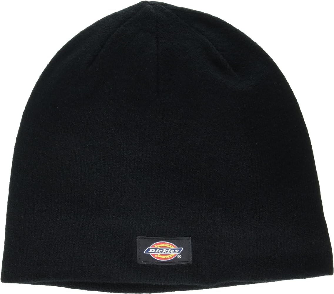 Dickies Men's Skull Beanie