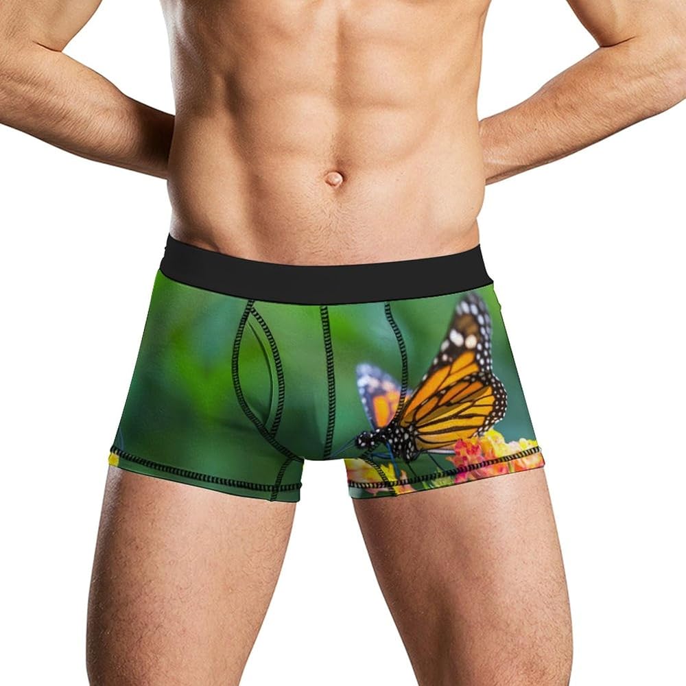 Monarch Butterfly on The Flower Men's Boxer Briefs Soft Lightweight Underwear Stretch Trunks