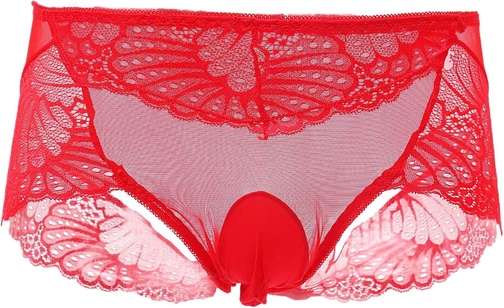 Evankin Mens Sissy Panties Sexy Floral Lace Girly Lingerie See Through Mesh Underwear Bulge Pouch Gay