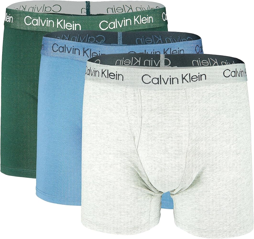 Calvin Klein Men`s Cotton Stretch Boxer Briefs 3 Pack (G(NP2524-301)/B, Large)