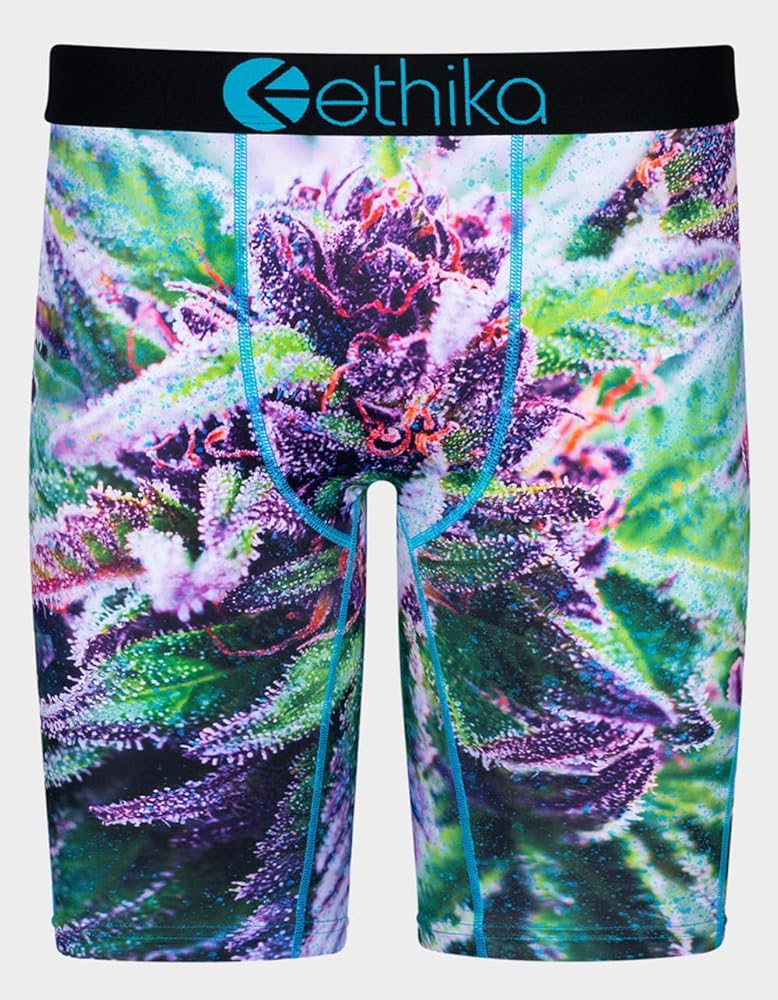 Ethika Mens Staple Boxer Brief | Grape kush